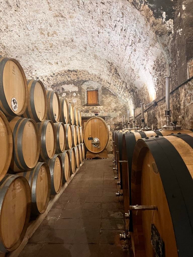 Stone-walled wine cellar with an arched ceiling, lined with large wooden barrels, dimly lit to evoke a rustic ambiance. At the far end, a circular wooden door with a metal latch symbolizes tradition, while the scene highlights the contrast between classic wine storage and the modern digital challenges vineyards face.